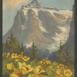 Tarjeta postal de Mercedes