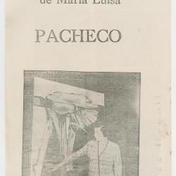 Pintura y madera balsa de maría Luisa Pacheco