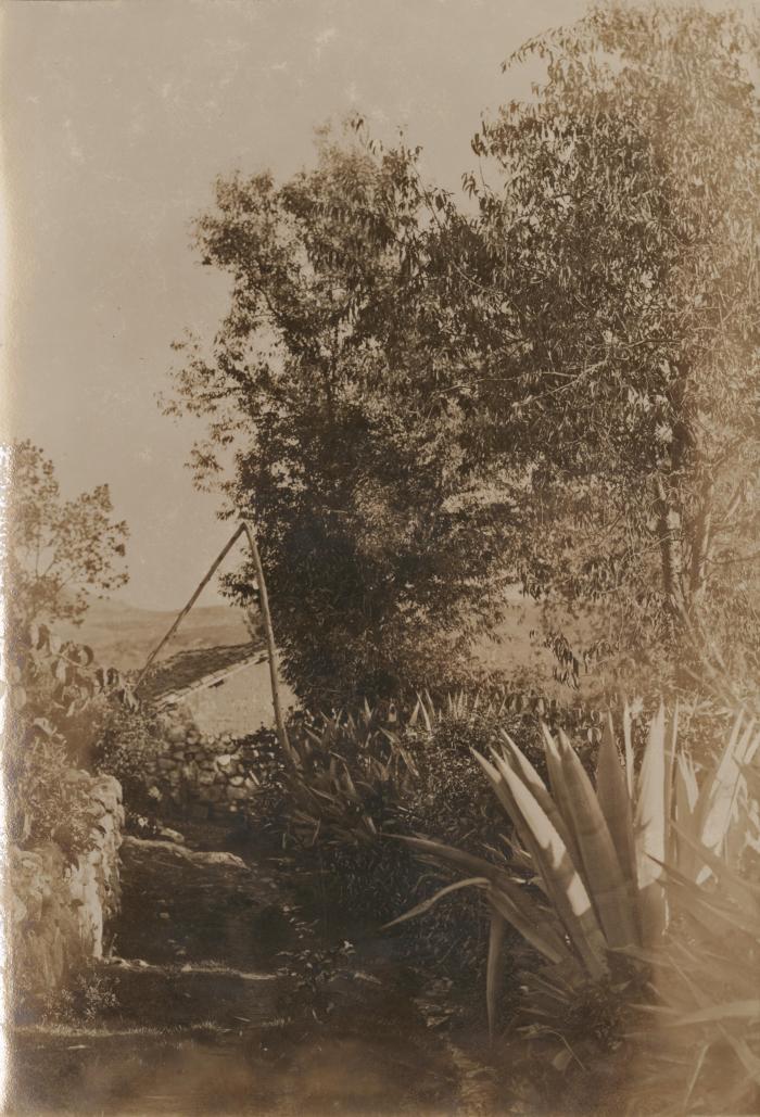 Sendero rural en Cajabamba