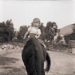 Isabel María, niño y caballo