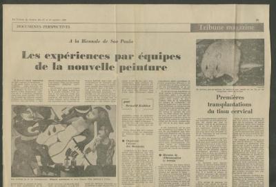 A la Biennale de São Paulo. Les expériences par équipes de la nouvelle peinture