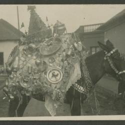 Una mula cargada de objetos