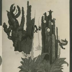 Ilustración para el proyecto Editorial "Les enfants du soleil"