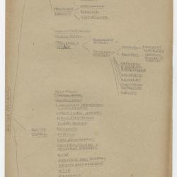 Trabajo en aduanas. Régimen Aduanero