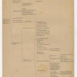 Trabajo en aduanas. Servicio aduanero (administrativo)