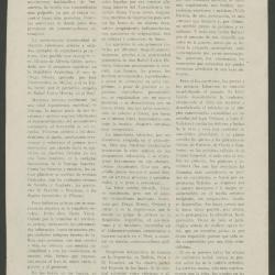 Nuevo estilo decorativo. Artes suntuarias