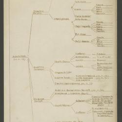 Autorretrato (xx,n,72)