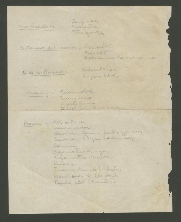 Listado de músculos de la cabeza