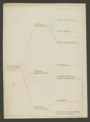 Autorretrato-Informe-Estructura 9-6-72