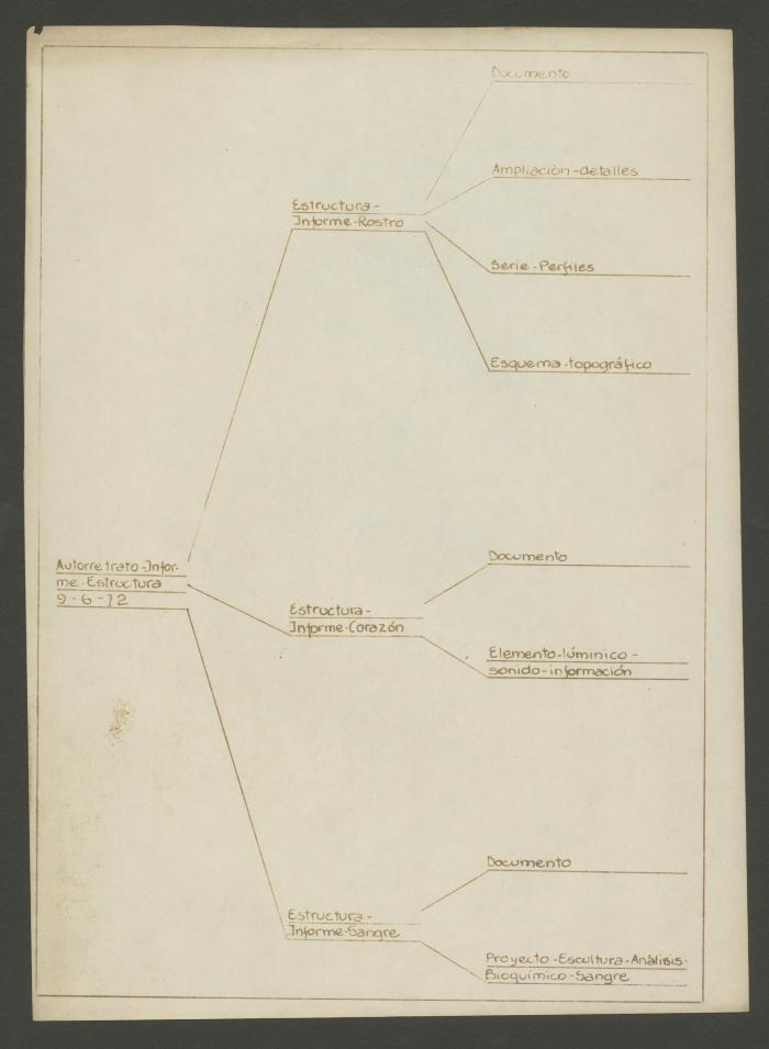 Autorretrato-Informe-Estructura 9-6-72