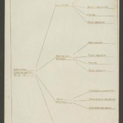 Estructura informe -rostro