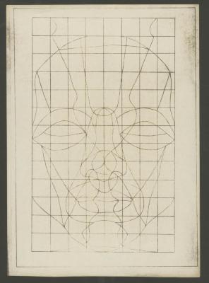 Rostro de frente