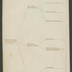 Autorretrato-Informe-Estructura 9-6-72