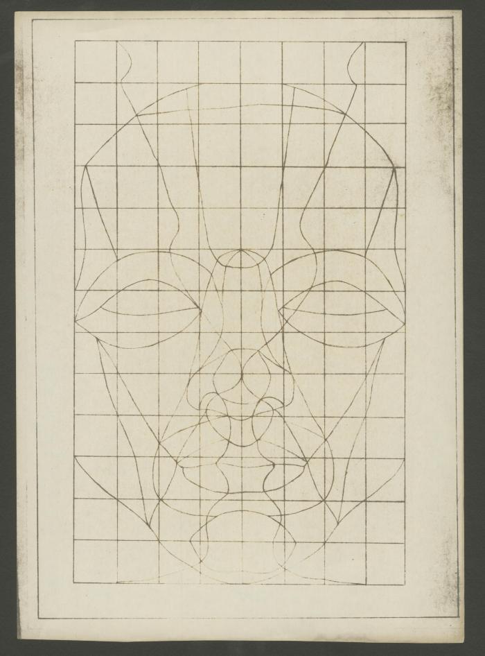 Rostro de frente