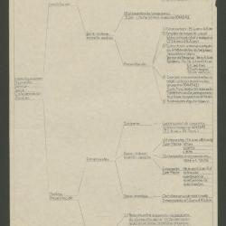 "Especificaciones-Propuesta-Básica-Serie-Ordenamiento-Grafías"