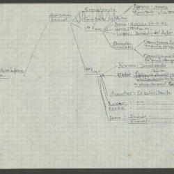 "Estructura-Informe obra"
