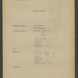 "Estructura Informe: Identificación-Desarrollo básico"