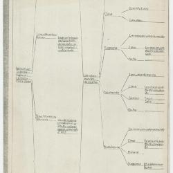 "Estructura-Informe-Espacio-Central-Plaza dada"