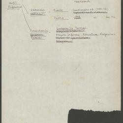 Perfil profesional: Perfil profesional