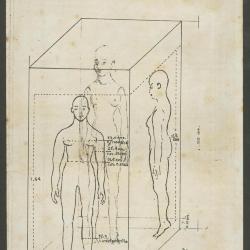 Objeto Estructura Informe Antropométrico