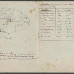 Objeto-Informe-Estructura-Grado Instrucción / Rompecabezas