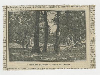 "Il bosco del Pozzotello al Passo del Diavolo"