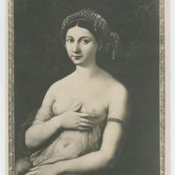 "1070 - ROMA - La Fornarina - Raffaelle - Gall. Barberini - Anderson"